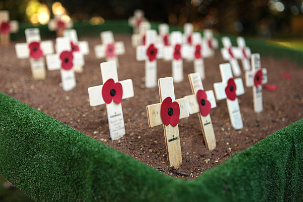istock Wooden crosses comemorating Remembrance Day 478588133