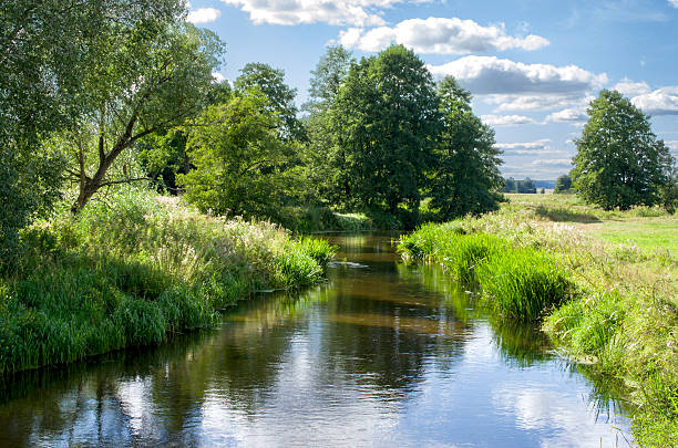 istock Little river is in the forest 478589289