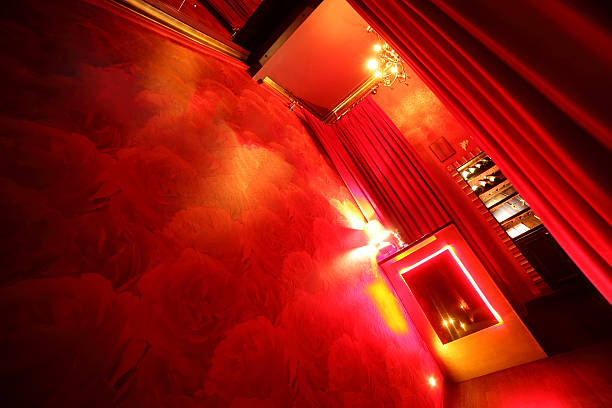 istock beautiful european night club interior 478590112