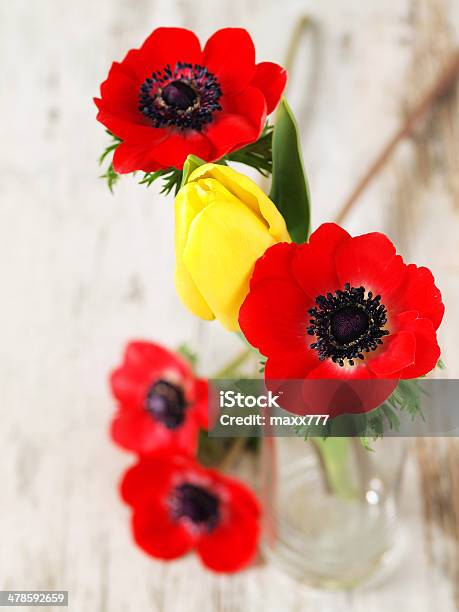 Red Anemone Flower Stock Photo - Download Image Now - Beautiful People, Beauty, Blue