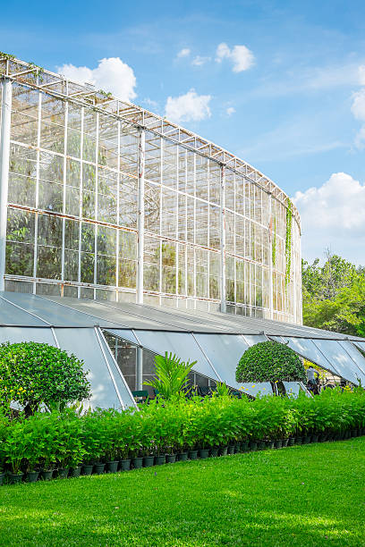 istock public indoor garden - Bangkok, Thailand 478593110