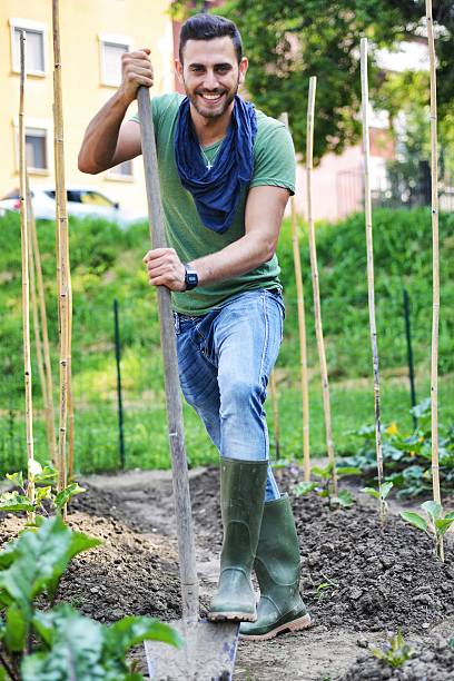 Man working in a Urban City Vegetables Garden