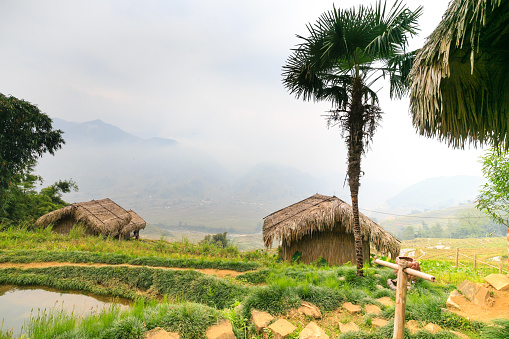 house made from bamboo leaves upland Sapa, Vietnam