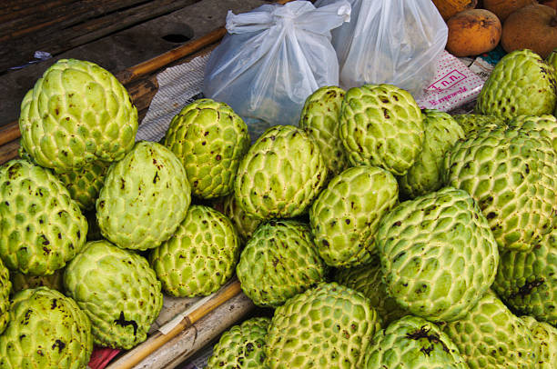 istock custard apple for healthy tropical fruit 478599452