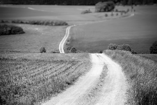 farm road in green field