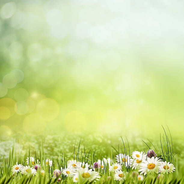 istock Spring garden, abstract natural landscape for your design 478600084