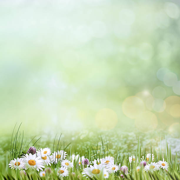 istock Spring garden, abstract natural landscape for your design 478600098