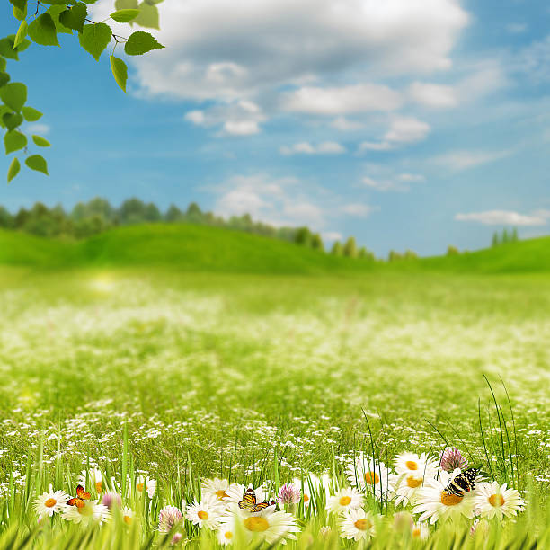 istock Spring garden, abstract natural landscape for your design 478602192