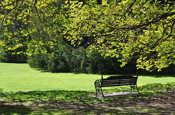 istock The garden seat in the shade 478602593