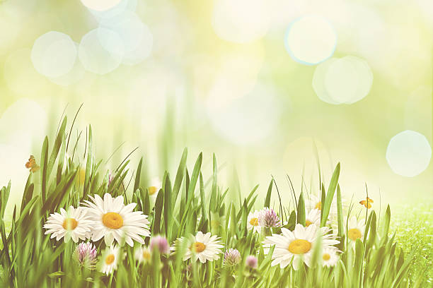 istock Summer afternoon with faded colors, abstract natural backgrounds 478602796