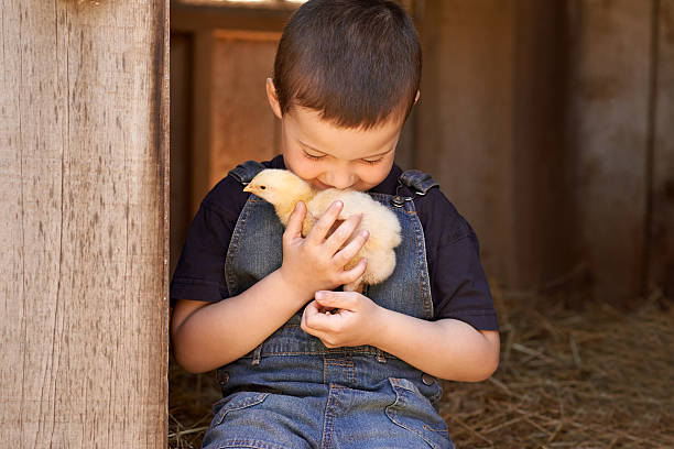 istock Getting to now the newest member on the farm 478604536
