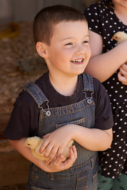 istock Enjoying life on the farm 478604592