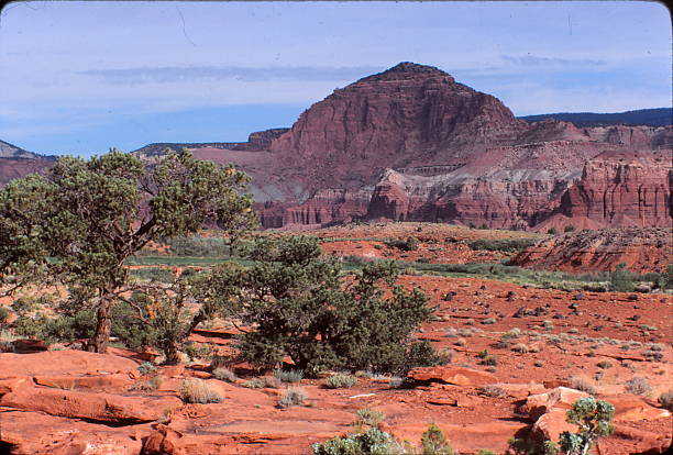 CAPITOL  REEF  NATIONAL  PARK,  UTAH  1981