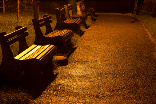 A Night in the Park. Wood Benches and Park Alley