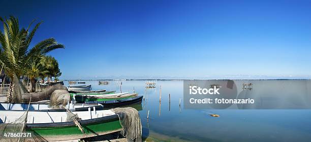 What A Beautiful Day Stock Photo - Download Image Now - Anguillidae, Commercial Fishing Net, Fish