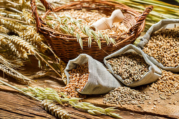 istock Different types of cereal grains with ears 478608791