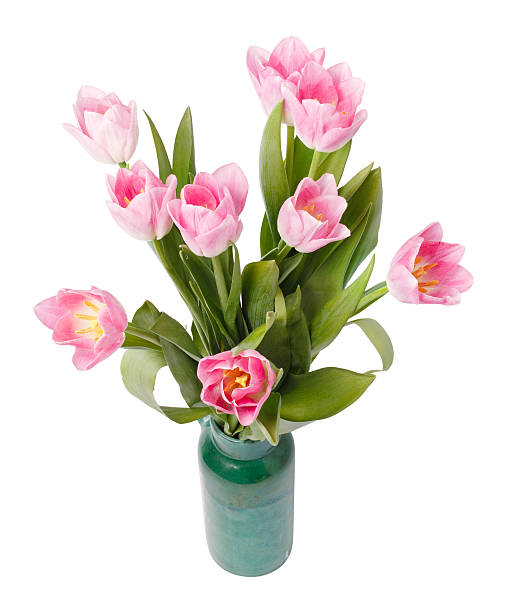 istock pink tulips in gree vase isolated on white background 478608933