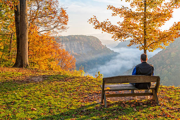 Early Morning Sunrise At Letchworth State Park Man Sitting On A Bench Enjoying An Early Morning Sunrise At Letchworth State Park letchworth state park stock pictures, royalty-free photos & images