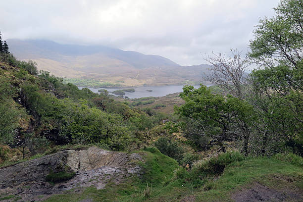 istock Ring of Kerry, Ireland, May, 2015 478617186