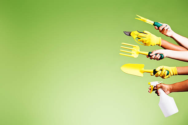 garden tools isolated near brick wall