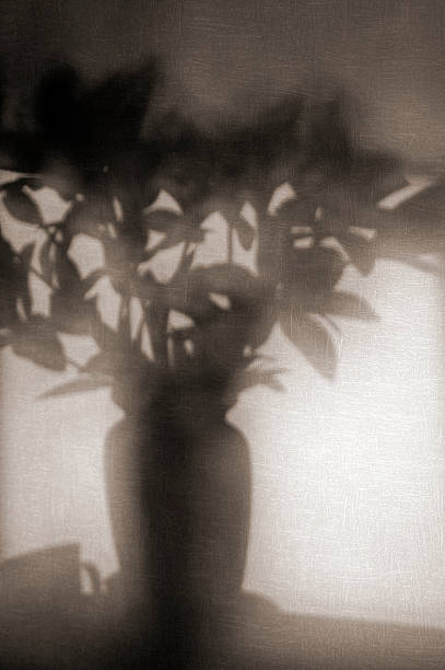 istock The shade of a flower vase 478619918