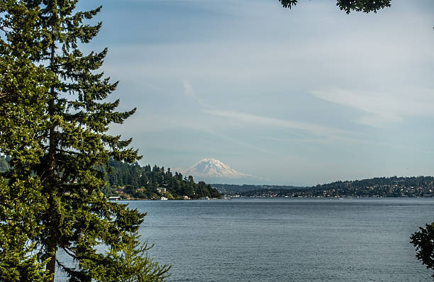 istock View Of Mount Rainier From Seward Park 5 478619926