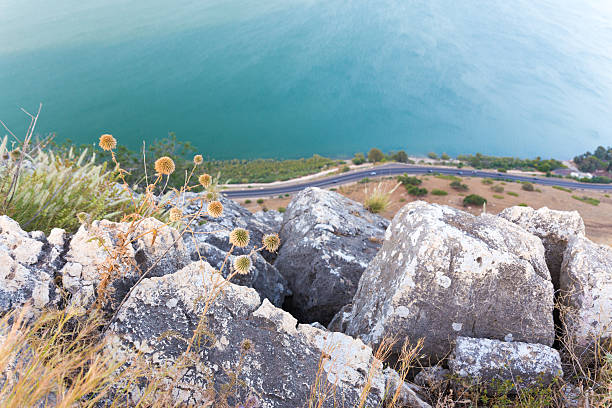 Dry flowers thorns on mountain rocks cliff above asphalt road lake sea shore, Arbel mountain, Kineret Tiberias Galilee lake, Israel.