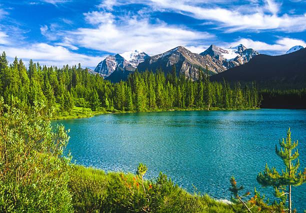istock Spring in the Canadian Rockies, Banff NP 478623128