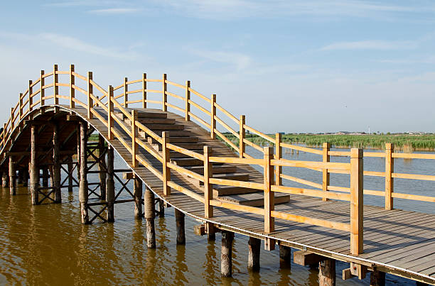 istock The wood bridge in wetland park 478623210
