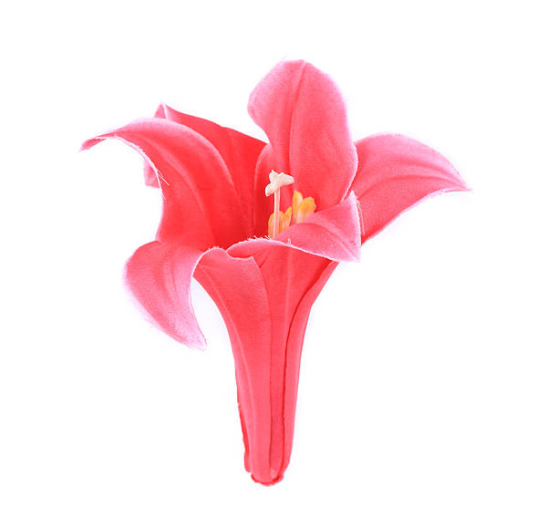 istock Closeup of pink artificial flower. 478624547