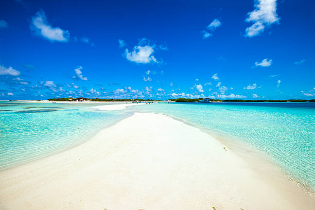 istock Tropical white sand cay beach in Los Roques Venezuela 478625345