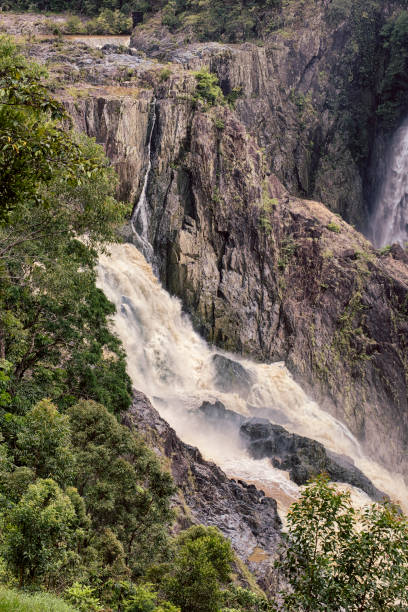 barron falls, kuranda, queensland, australia - cairns monsoon queensland waterfall fotografías e imágenes de stock