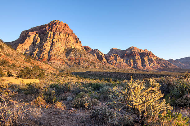 istock Morning light in harsh desert landscape 478627886