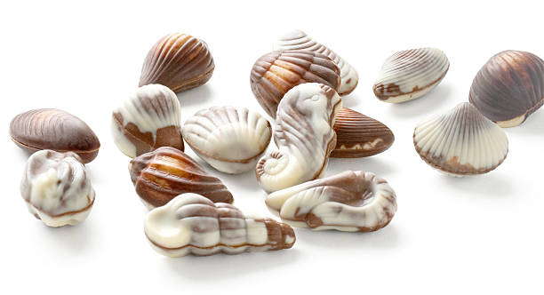 Chocolate Seashell Truffles stock photo