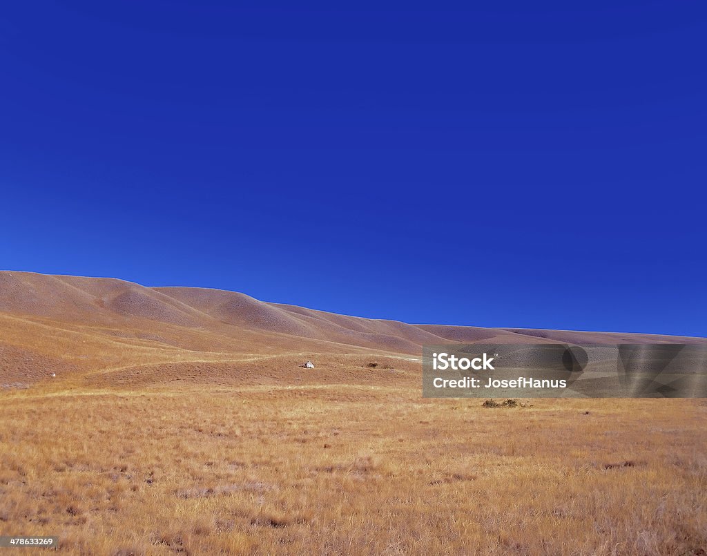 Steppe, Steppe, prairie with blue sky Country - Geographic Area Stock Photo