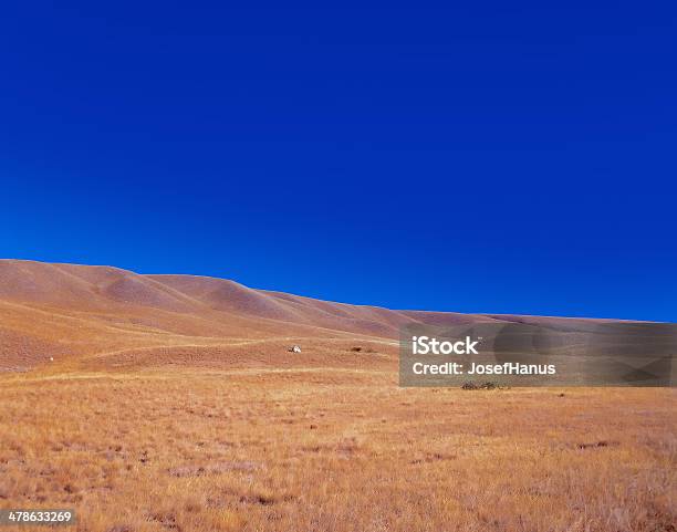 Steppe Stock Photo - Download Image Now - Country - Geographic Area, Dry, Grass