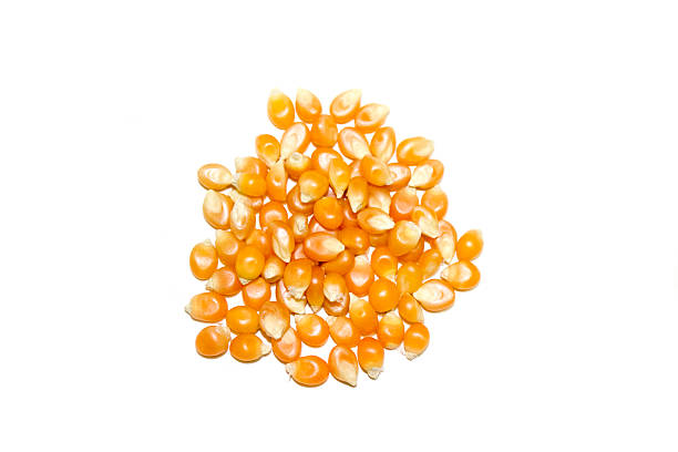 istock Pile of Popcorn Kernels Top View 478634466
