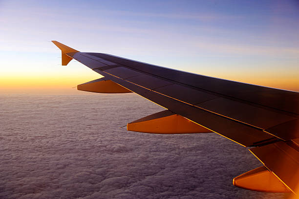 istock Wing of the airplane 478635608