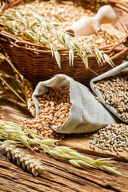 istock Rye, barley and wheat are the basis for good bread 478636033
