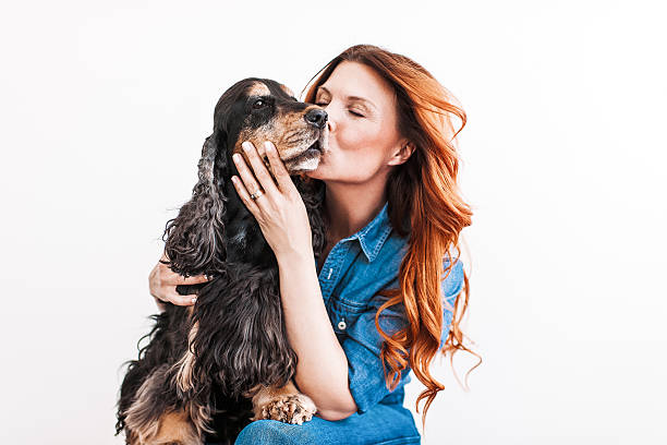 Beautiful redhead woman on her 40s with her dog Beautiful redhead woman on her 40s playing with her dog a English Cocker Spaniel kissing photos stock pictures, royalty-free photos & images