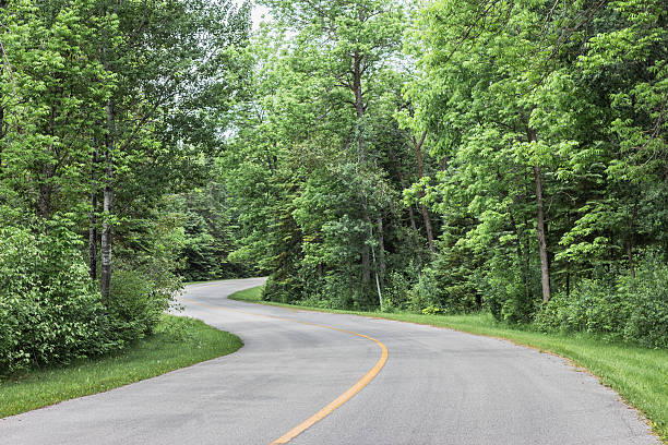 istock narrow paved highway winding through forest in summer time. 478639408