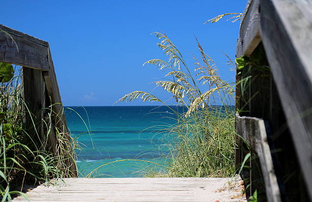 istock entrance to paradise 478640092