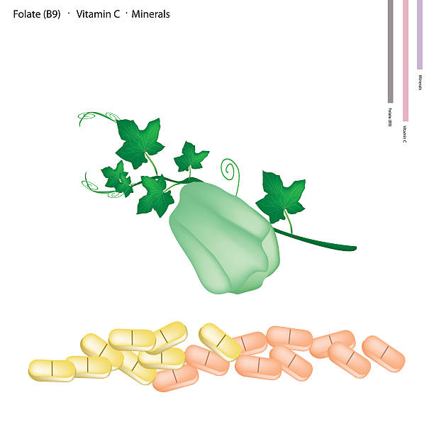 ilustrações, clipart, desenhos animados e ícones de salada de frutas com vitamina c e vitamina a b9 - merleton