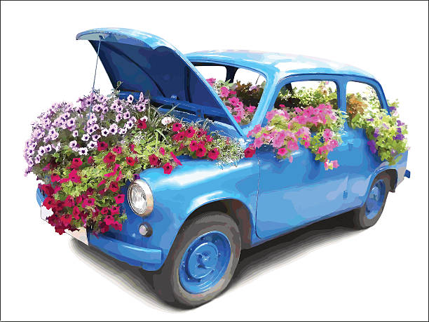Blue car with flowers. vector art illustration