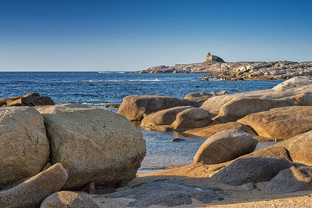 istock Genoese tower at Punta Caldanu in Corsica 478644631