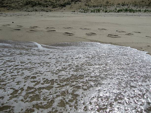 Ocean Wave Reflection on Shore stock photo