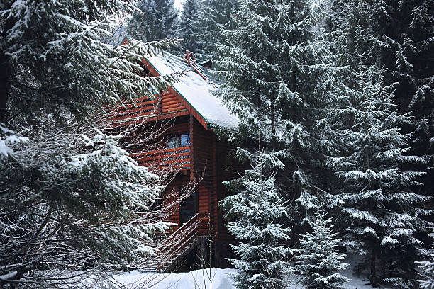 istock Wooden house in winter forest 478647195
