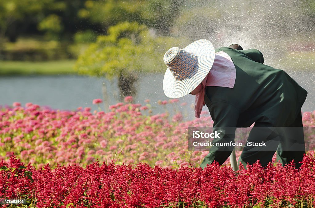 Le jardin fleuri - Photo de Adulte libre de droits