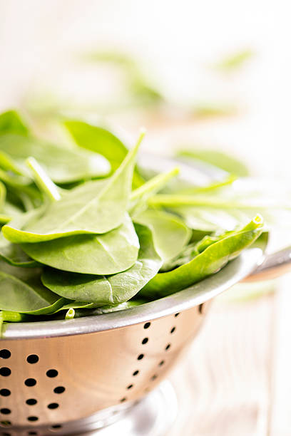 Fresh spinach leaves in a colander