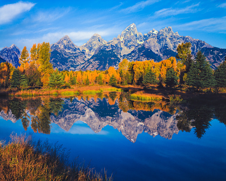 Overflow from the Snake River reflects the autumn colors of cottonwood trees and the Grand Teton Range, WY